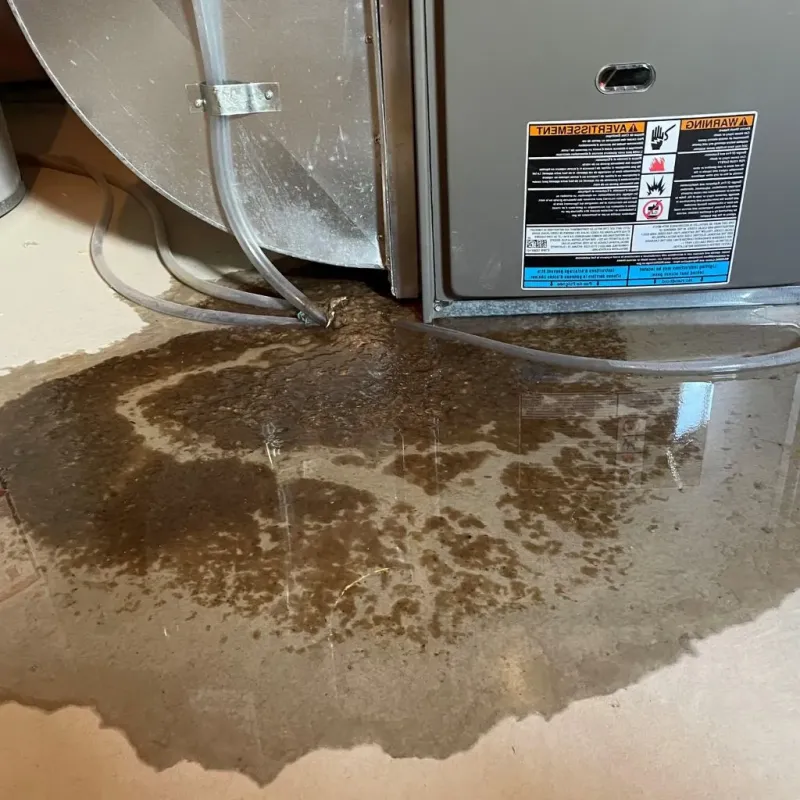 Pipe Burst and Leak Restoration in Shoemakersville, PA