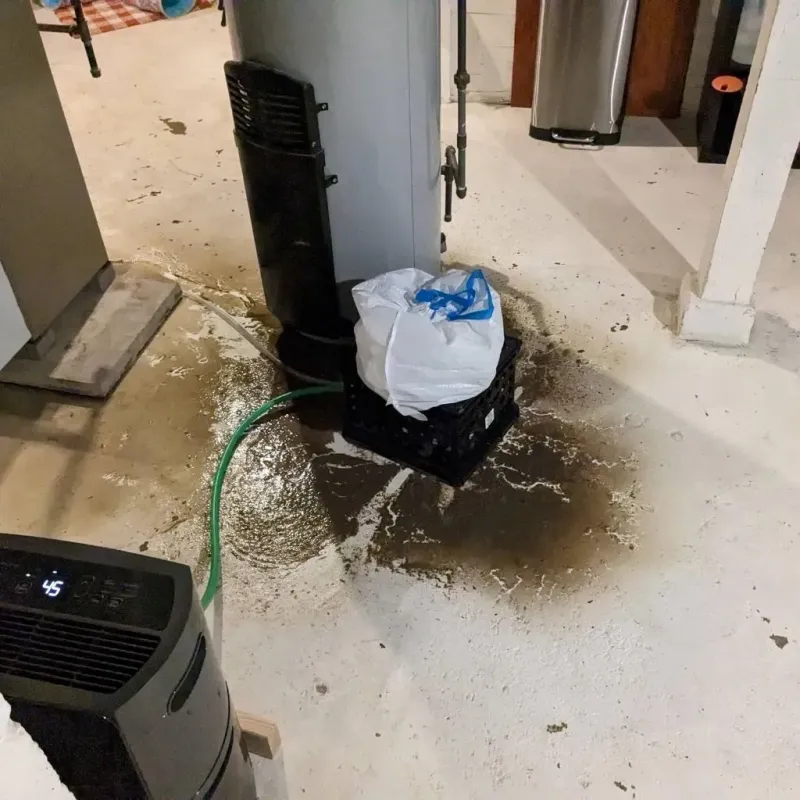 Sewage Backup Cleanup Service in Shoemakersville, PA